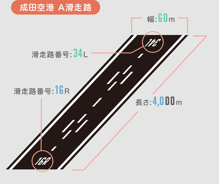 11月11日は「滑走路の日」！今こそTAKE OFFキャンペーン｜スプリング
