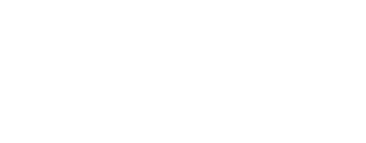 21年 新春spring 初日の出フライト Spring Japan